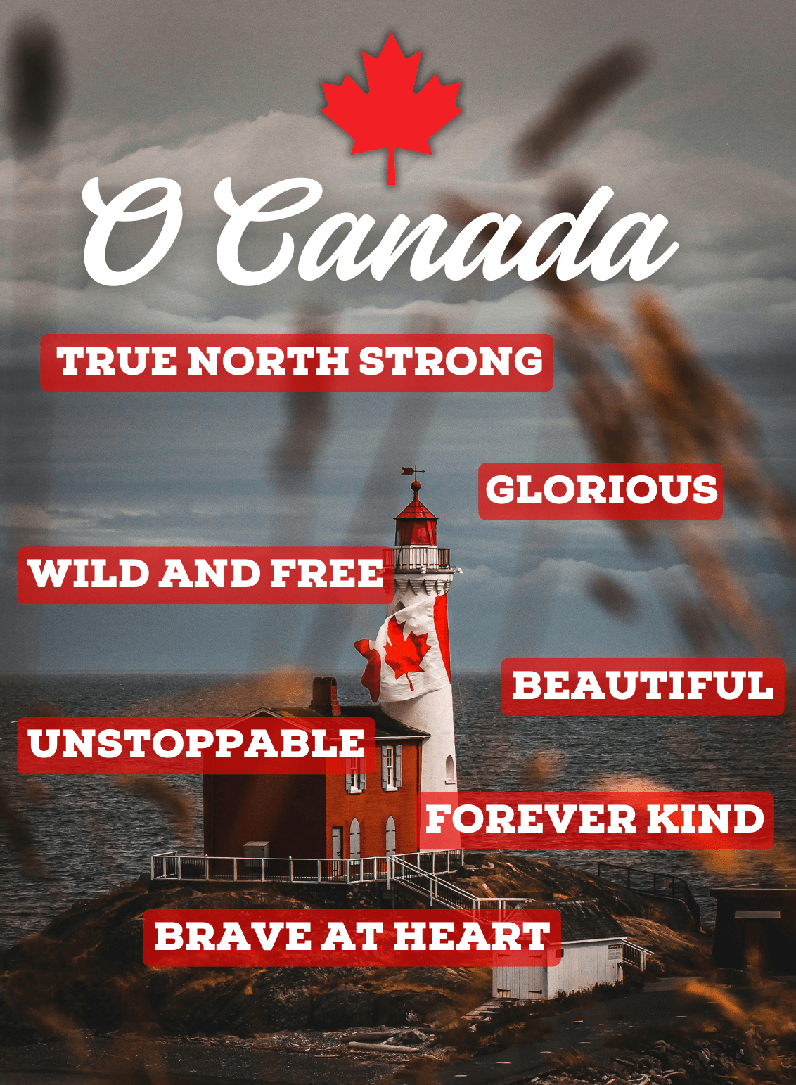 The O Canada Signature™ Collection – Made for Canadians, in Canada - Maple Beaver