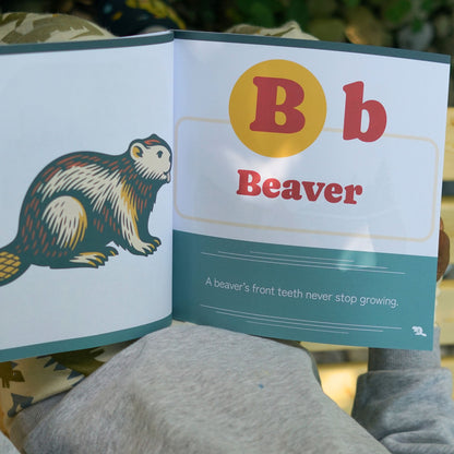 A child reading the Children's book From Aurora to Zamboni B for Beaver
