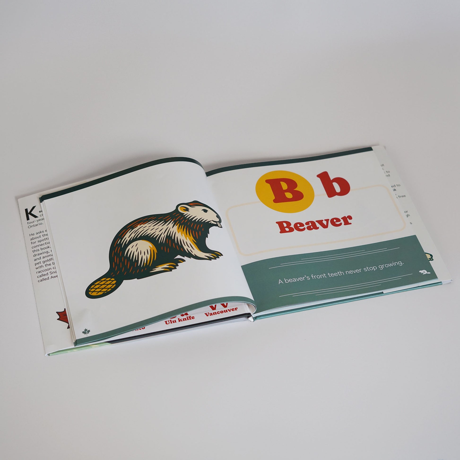 the B for Beaver page from the Canadian ABC book from Aurora to Zamboni by Kedaar Mungali