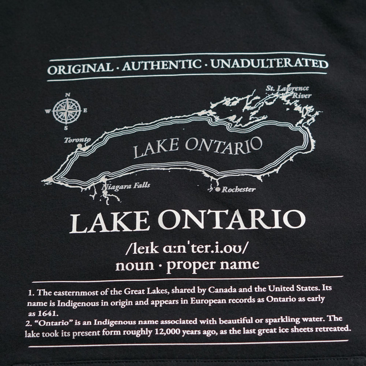 Lake Ontario Hoodie | Made in Canada | 100% Organic Cotton