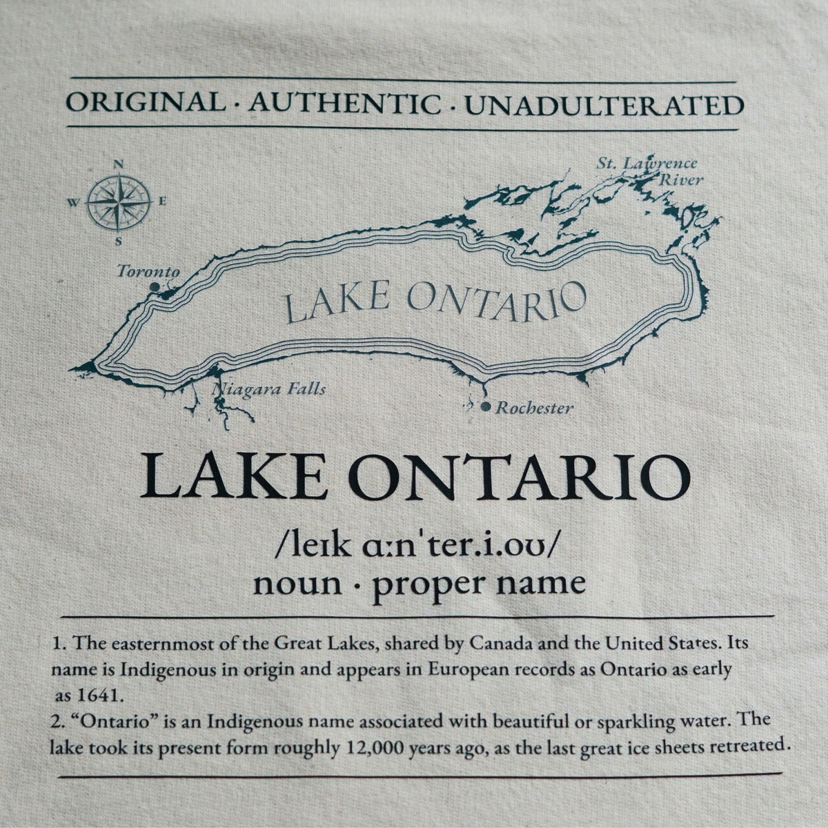 Lake Ontario Hoodie | Made in Canada | 100% Organic Cotton