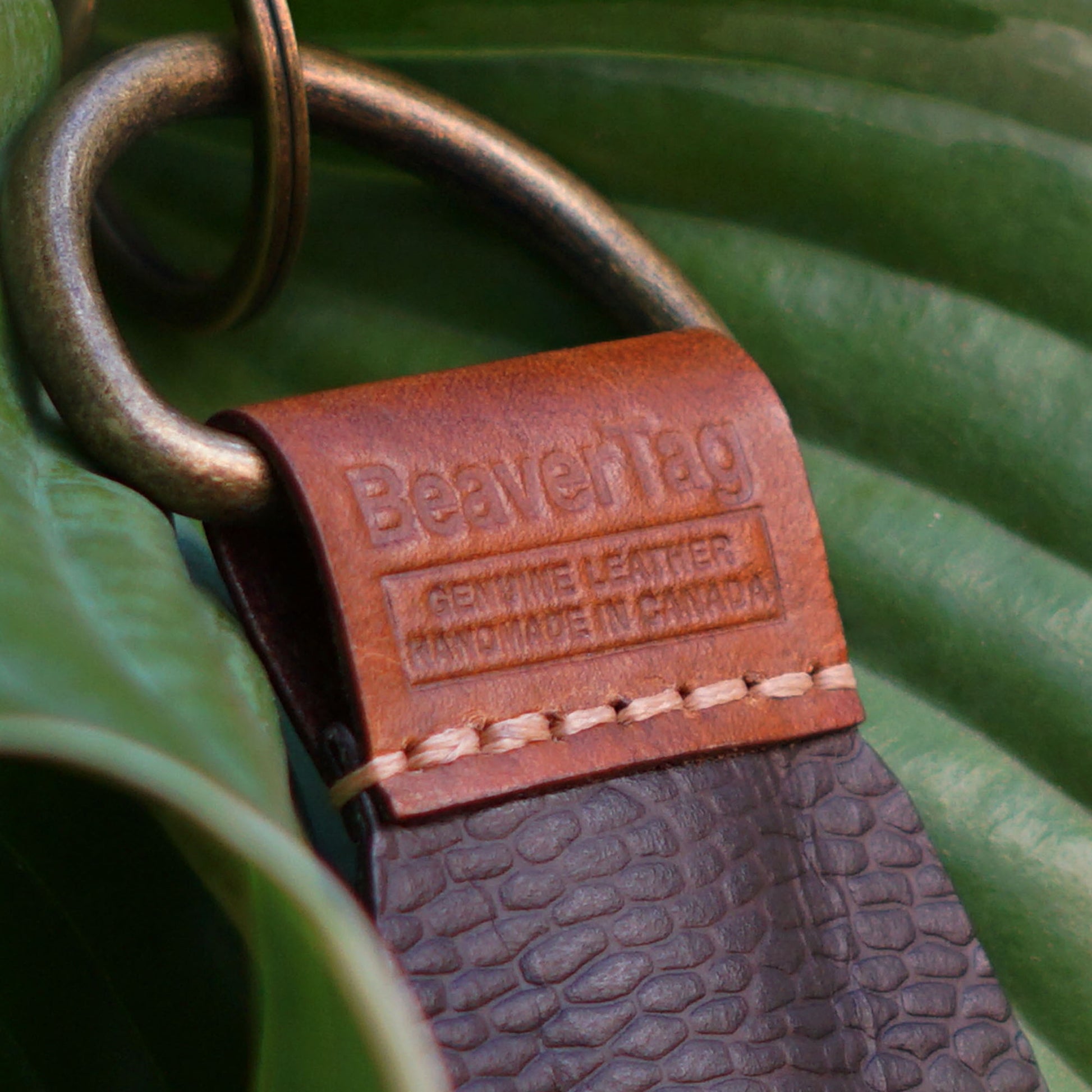 closeup of the BeaverTag placed on a leaf, which shows the BeaverTag branding and the genuine leather and handmande in canada claim.