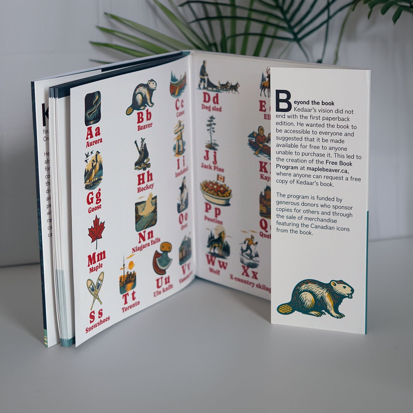 The free book program by Kedaar Mungali