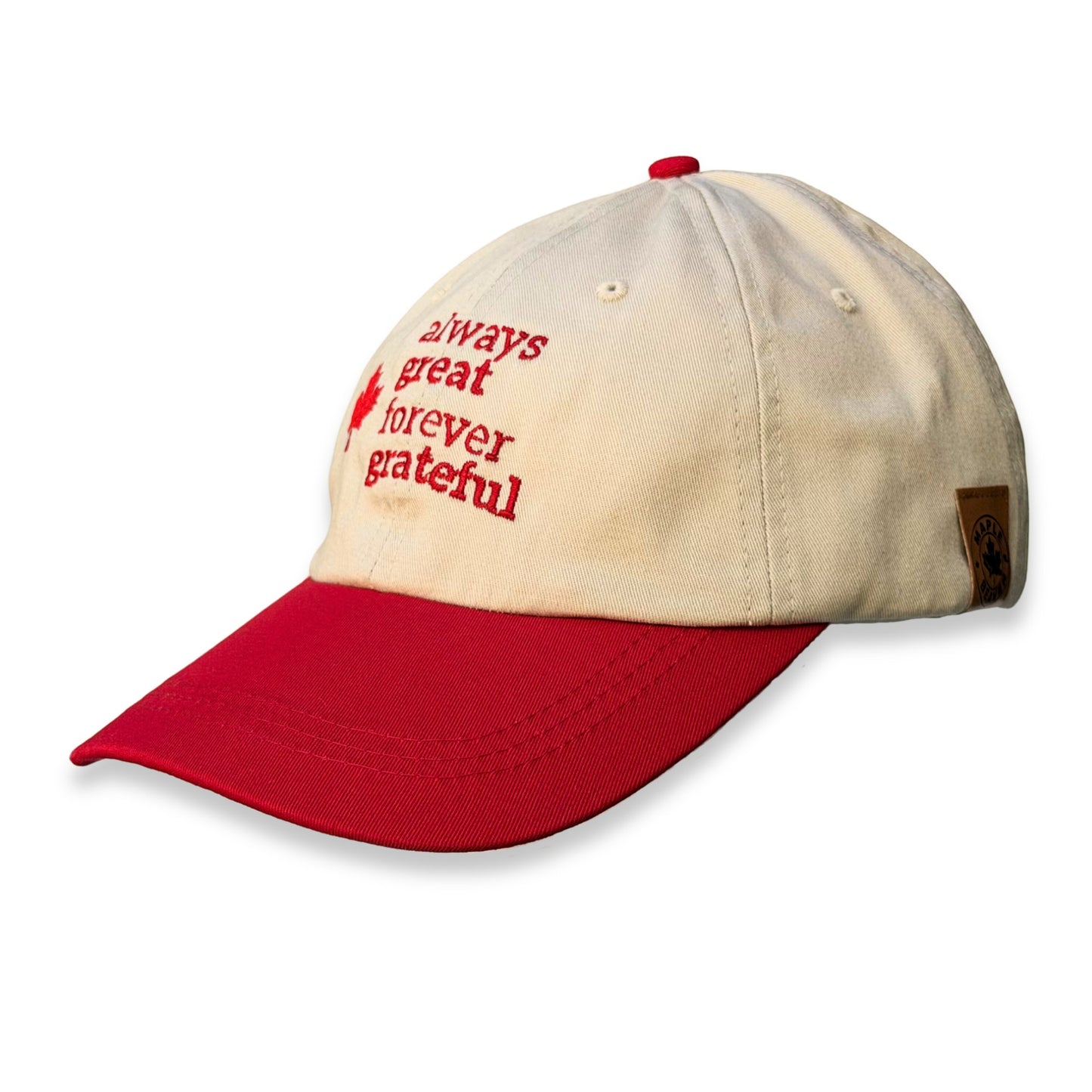 Always Great Forever Grateful™ Organic Cotton Dad Hat - Beige